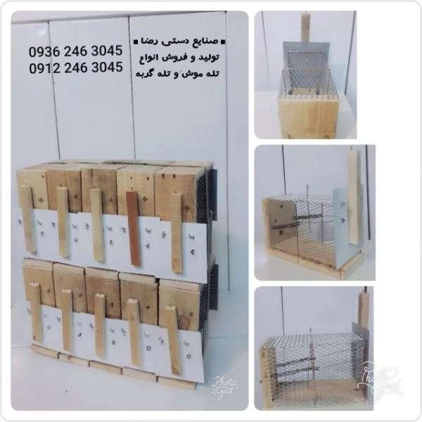 1700555930908.webp
