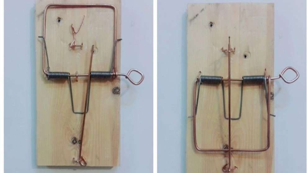 تله موش گربه روباه و سمور رضا