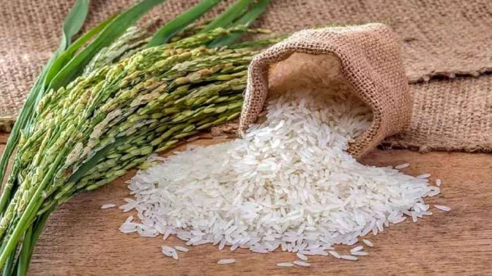 بازرگانی برنج قنبری