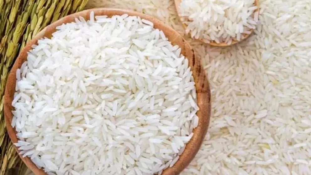 بازرگانی برنج قنبری