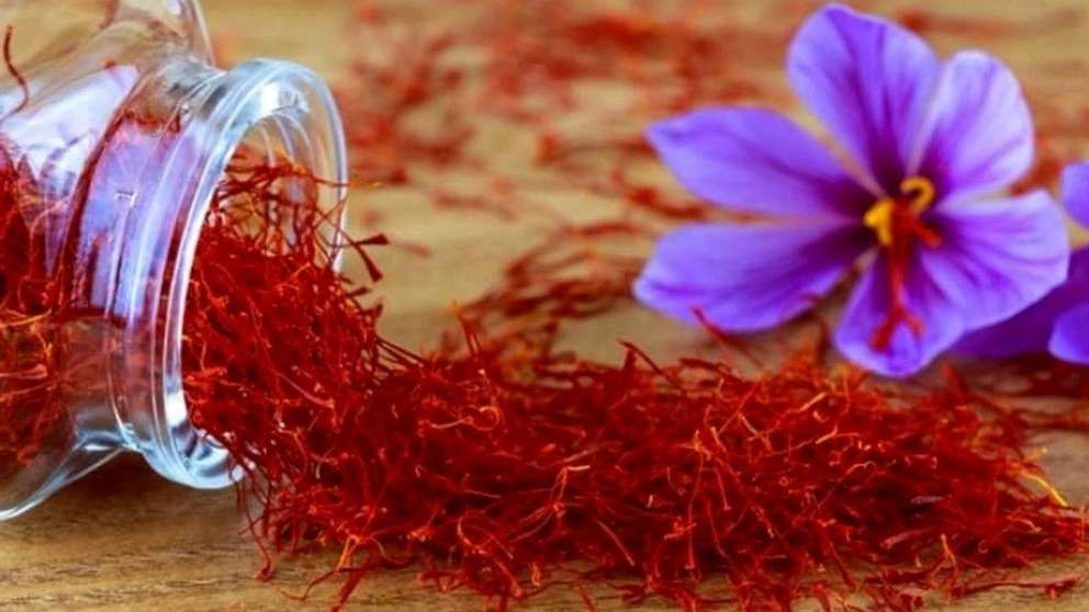صادرات و فروش زعفران احمدی