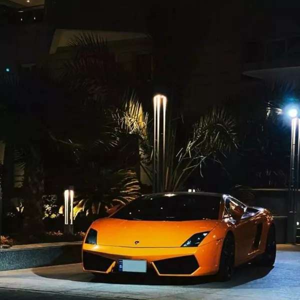 1701770524445.webp