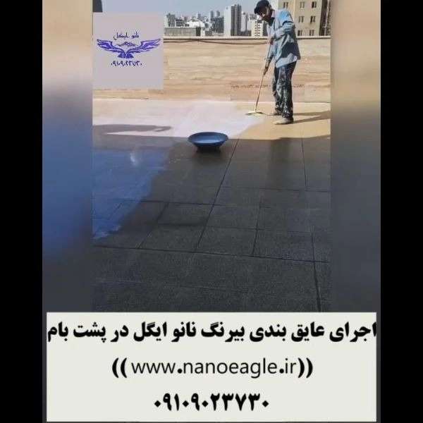 1701860969582.webp