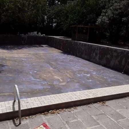 1701931875526.webp