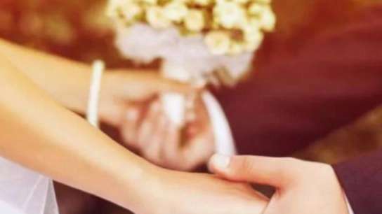 استودیو گلها فیلم