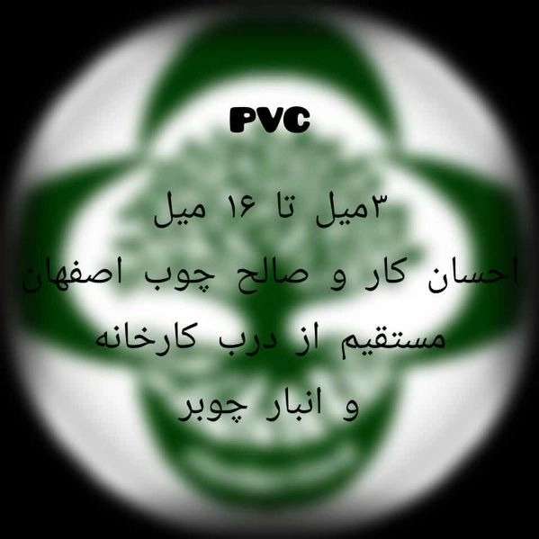 1703314952764.webp