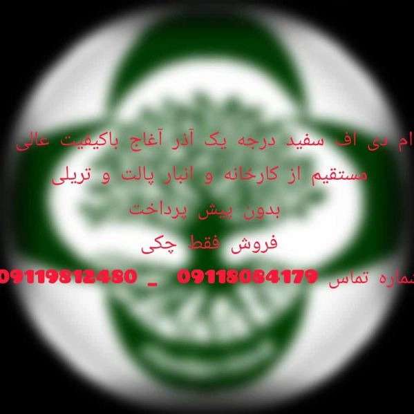 1703314991450.webp