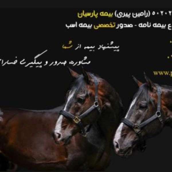 1703326262972.webp