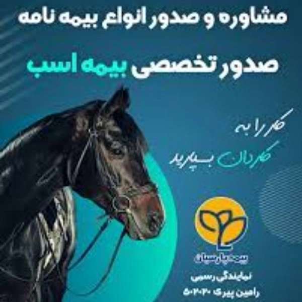 1703326278705.webp