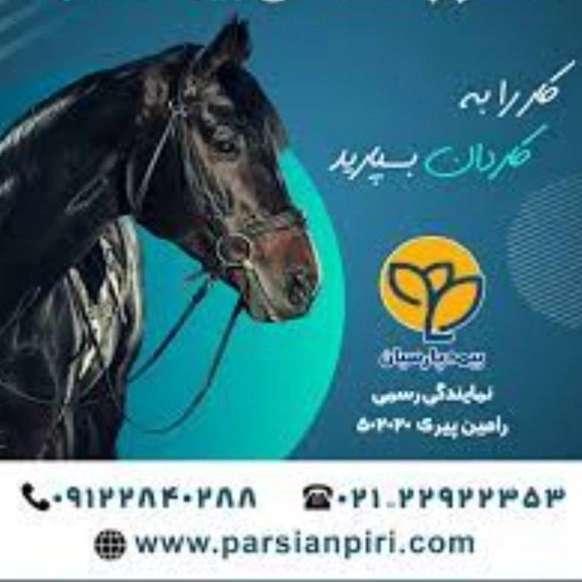 1703326303274.webp
