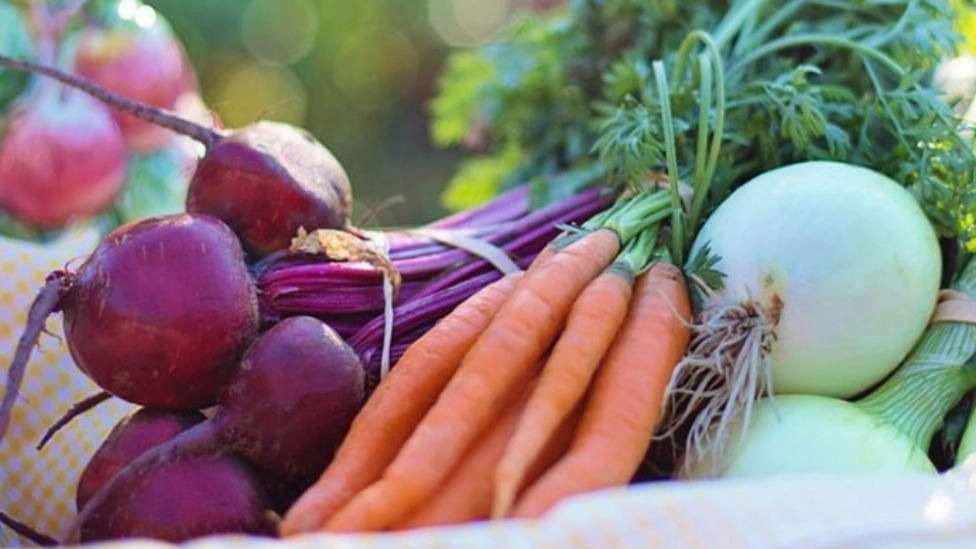 صیفی جات خشک و تر نجفی