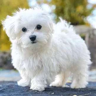 1704608450497.webp
