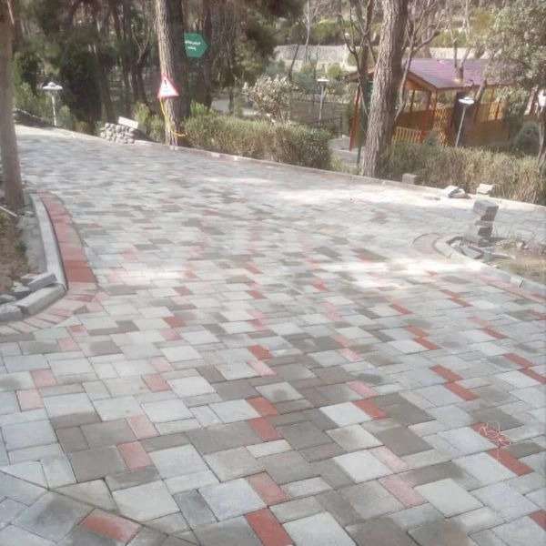 1704965250602.webp