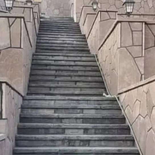 1705477036936.webp