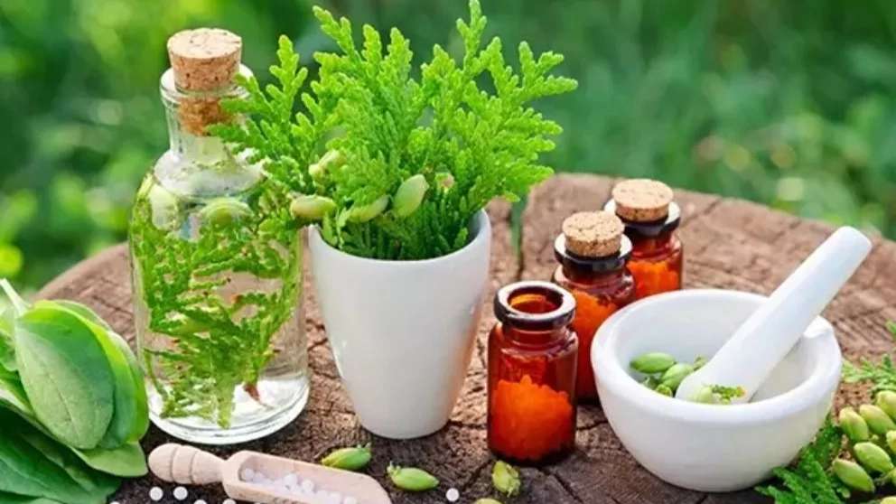 عرقیات مقدم