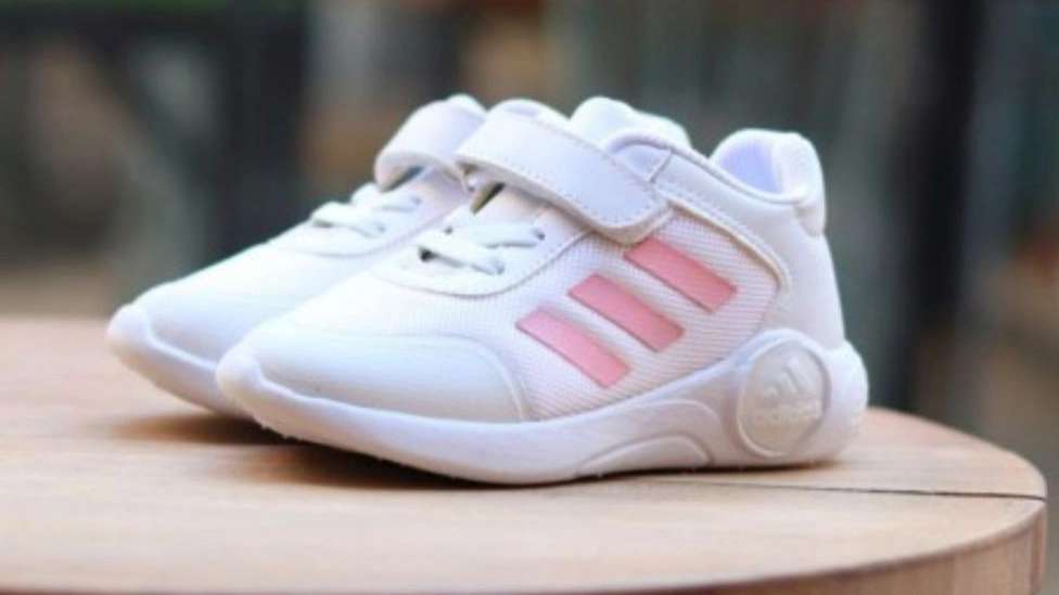 کفش عالیجناب