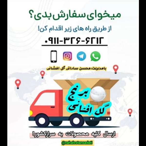 1706525063277.webp