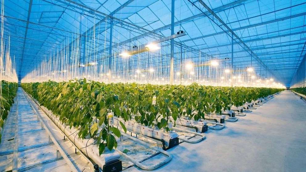 اجرا برق اسمارت پاور نجف آباد