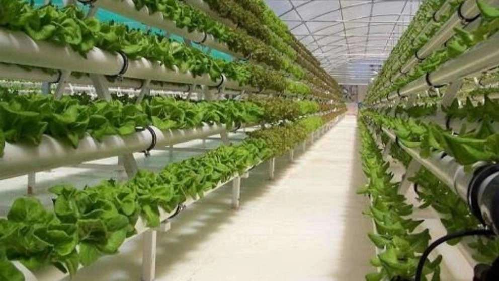 اجرا برق اسمارت پاور نجف آباد