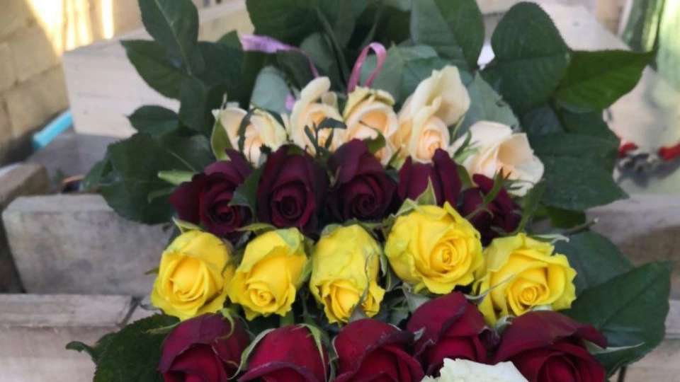 رز هلندی وشاخه بریده پروین