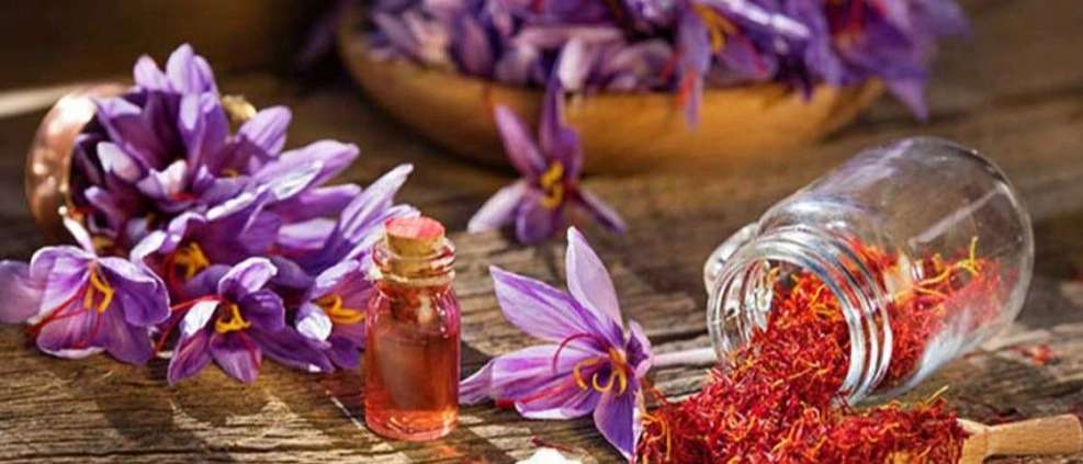 فروش ادویه و زعفران پانیذ