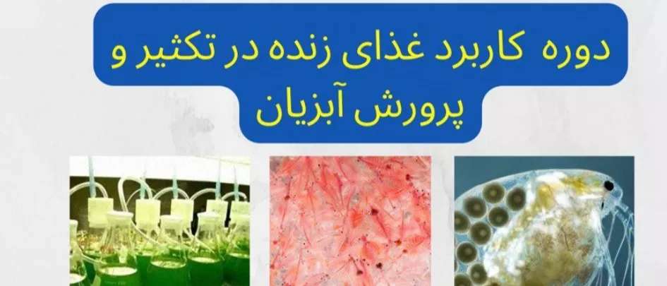 آموزش کشت و تولید غذای زنده