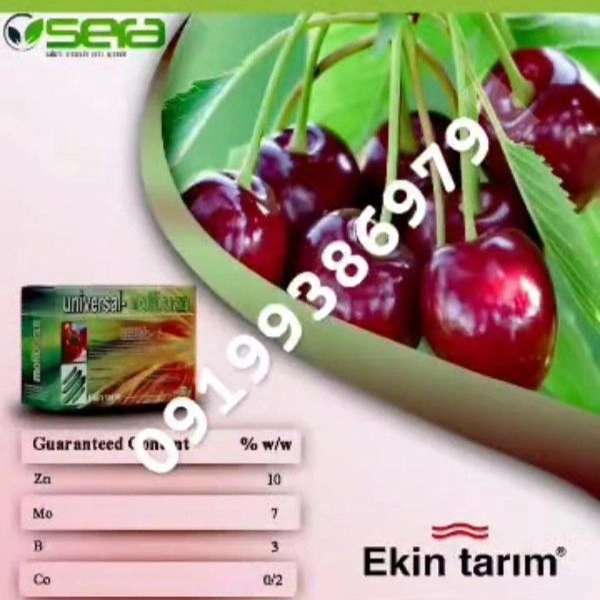 1710236566649.webp