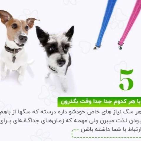 1715759246843.webp