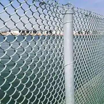1717833539852.webp