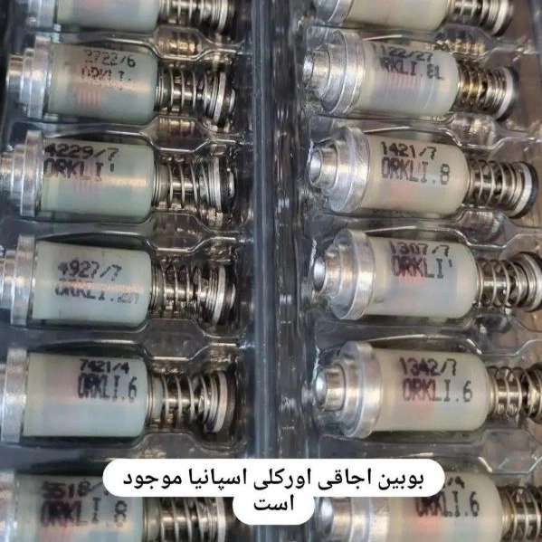 1718446312900.webp
