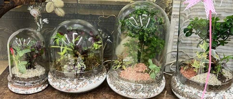 سرای سنتی حصارگل یخ09120903128