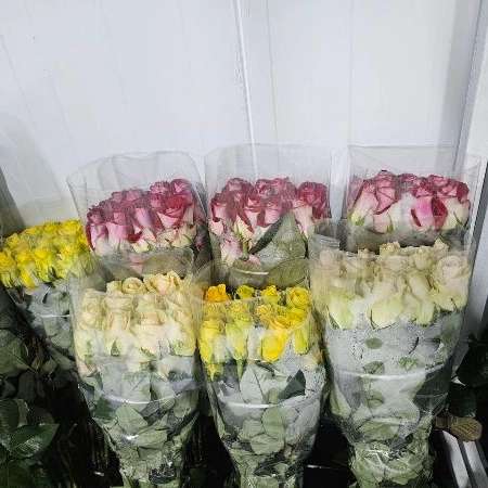 1723108204643.webp