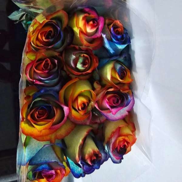 1723108466202.webp
