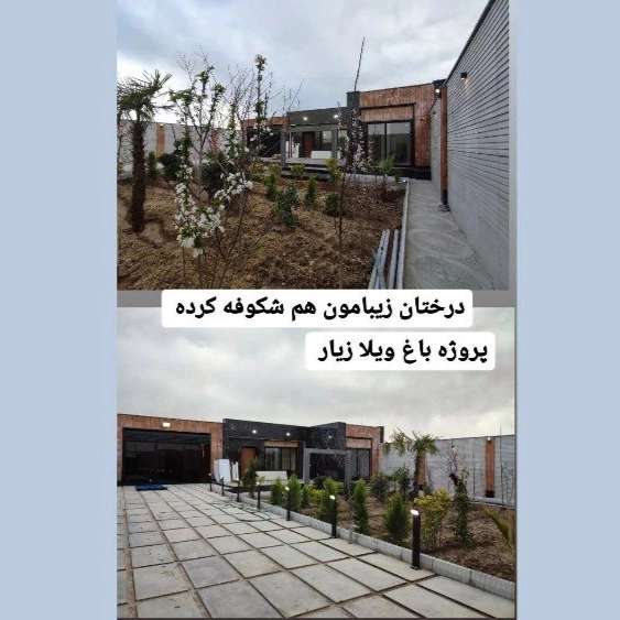 1724140957726.webp