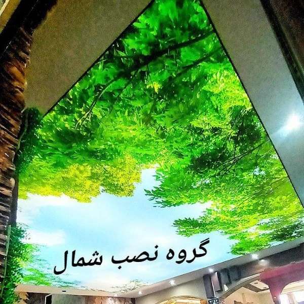 1725194170812.webp