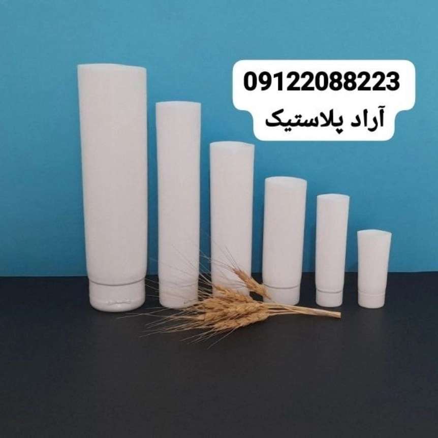 1729490510740.webp