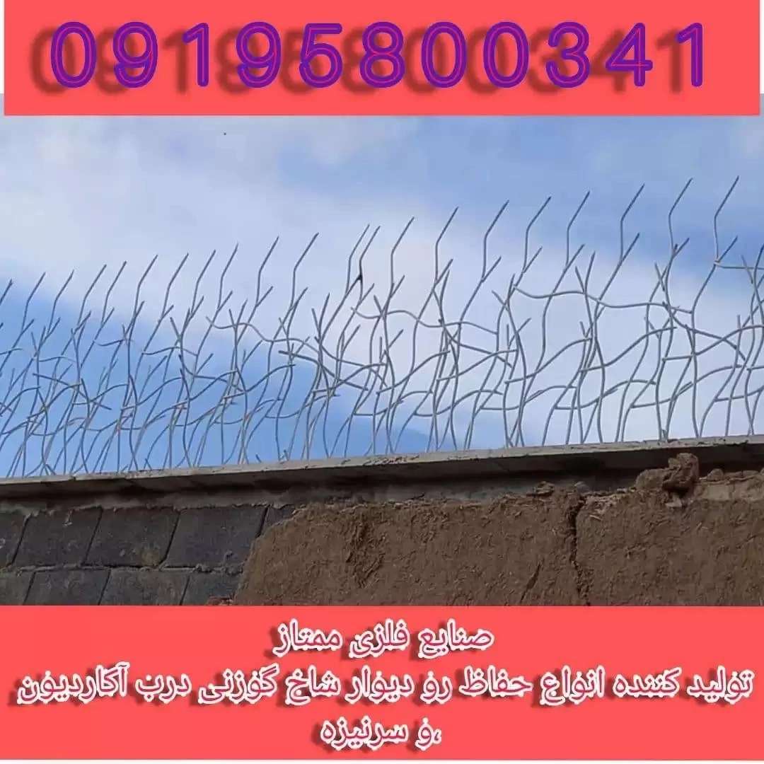 1729500780777.webp