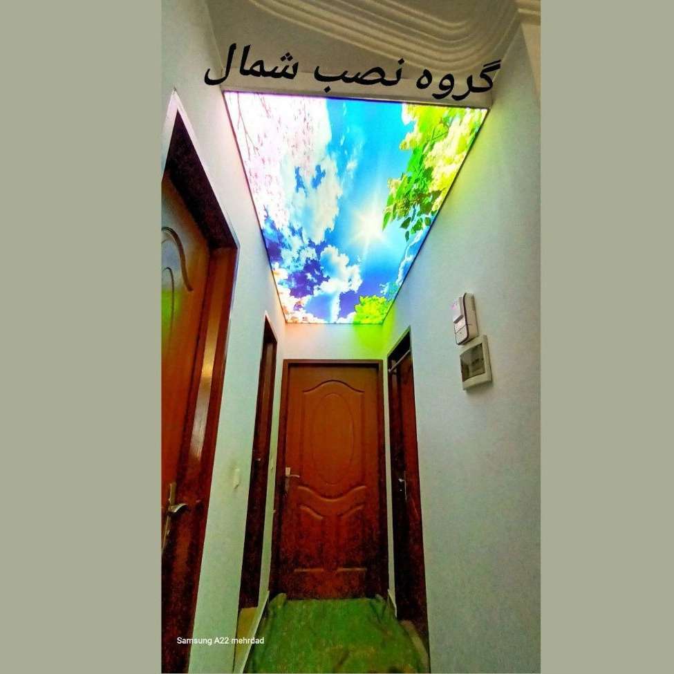 1729598081041.webp