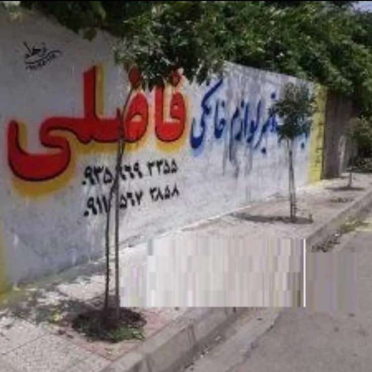 1730533061385.webp