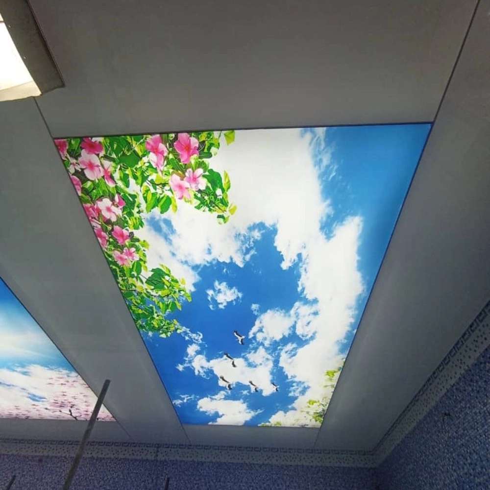 1731745731829.webp