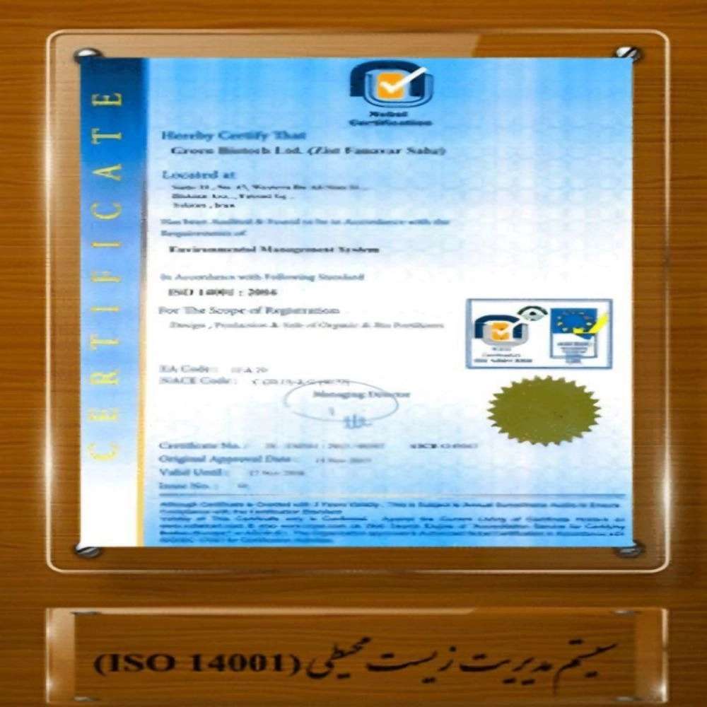 1732945402683.webp