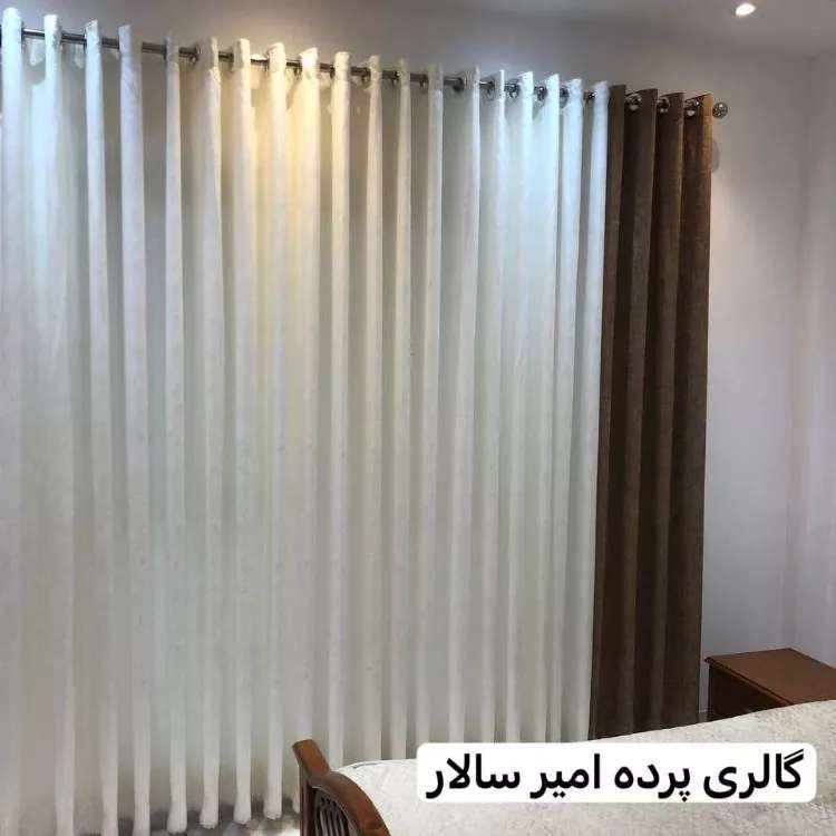 1733042664392.webp