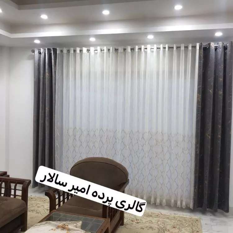 1733042680569.webp