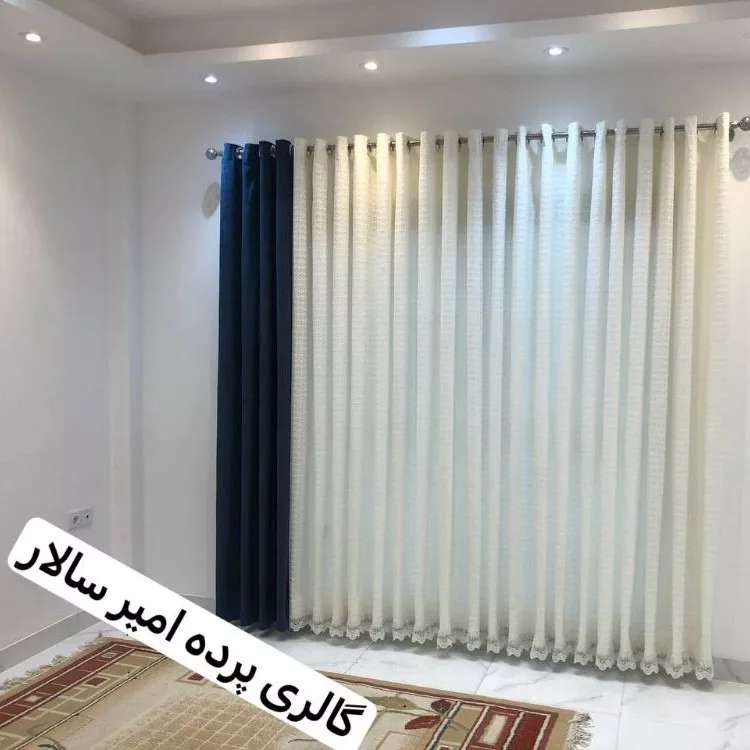 1733042697584.webp