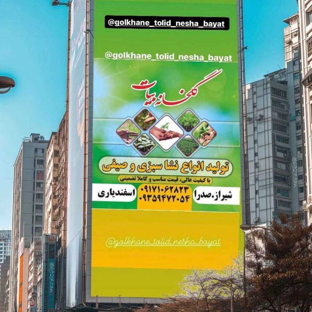 1733650684674.webp