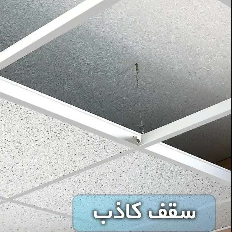 1733917930472.webp