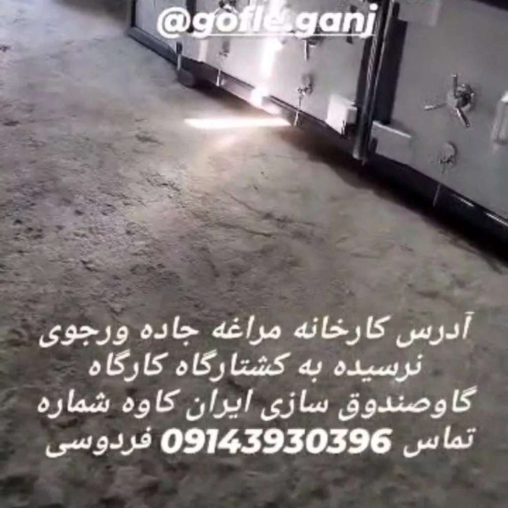 1733991240704.webp