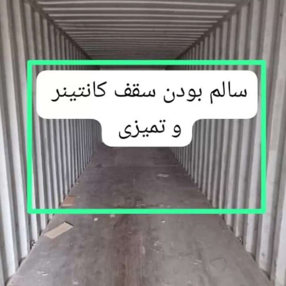 1734504506097.webp