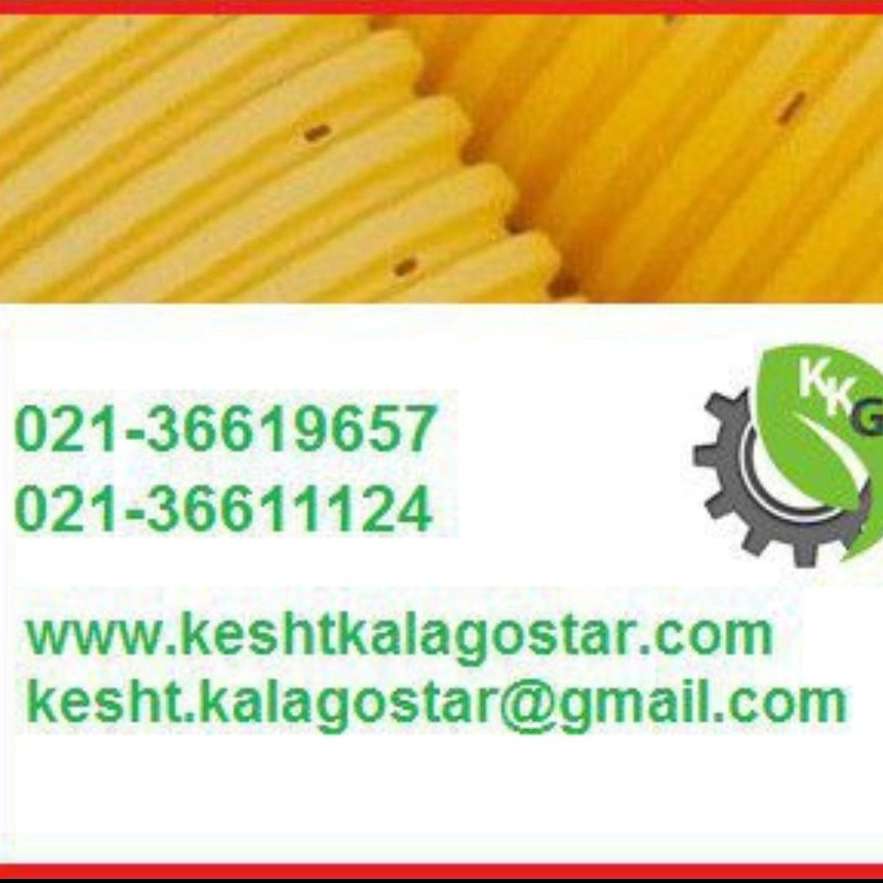 1736750989990.webp