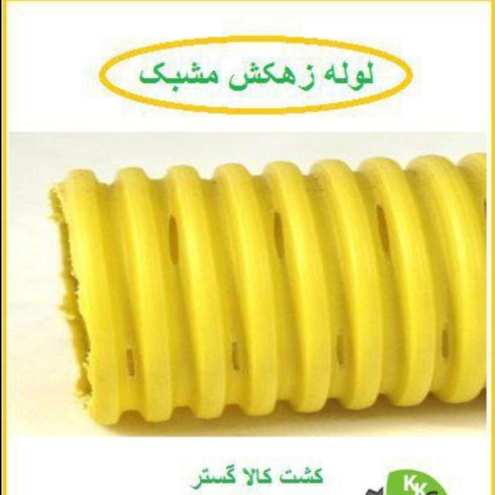1736751020313.webp